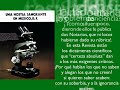 Hostia Sangrante -EPISODIO 06- UNA HISTORIA INCREÍBLE