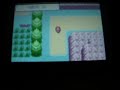 gpSP - Pokemon Fire Red on PSP Slim&Lite gpSP - Pokemon Fire Red on PSP Slim&Lite