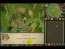 Evil Armadyl G & A + 99 Hunter