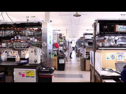 how to isolate endoplasmic reticulum