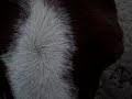 auw !!