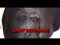 Sawit Berdarah