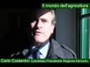 Il mondo dell\