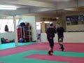 spen-v-davehirst.html