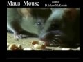 Maus Mouse Tiere Animal Natur SelMcKenzie Selzer-McKenzie