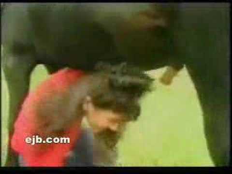 RobrechtD - a animal expert wants to fool a horse.