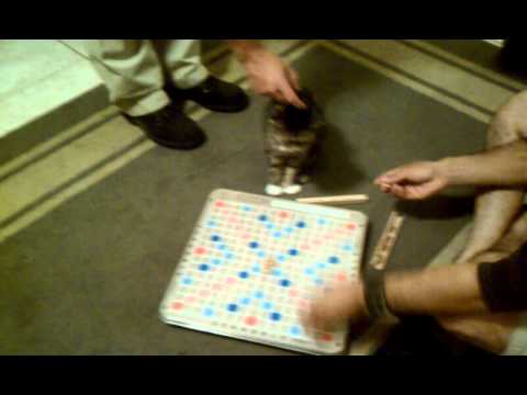 scrabble helper scrabble helper