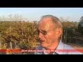 Cortes de Cima, Alentejo, Hans Kristian Jorgensen, founder, interview Cortes de Cima, Alentejo, Hans Kristian Jorgensen, founder, interview