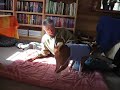 Basenji Yodeling