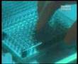 Cospirazioni - Sperimentazione e Biogenetica (2 di 3)