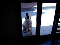 Fefucho
