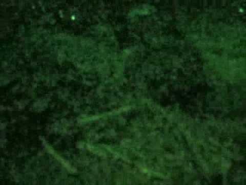 British Army -Part 1 Operation ...