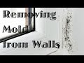 How To Clean Mold Off Bathroom Wall