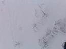ryano, briskey n jak jumpin out of the chairlifts at the snow it was mad. bout 4 metres high into powder