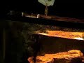 My fish jumps out of the tank to catch a dead feeder fish. They will do anything for food these fish