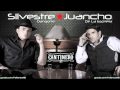 Silvestre Dangond - Gracias [Cantinero] *Vallenato 2010*