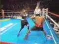 Can't Be Faded (Andre Berto Anthem)