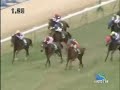 2009 京都牝馬ステークス KYOTO HIMBA STAKES