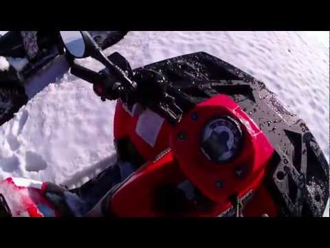 Guarda il video