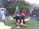 crazy,bardwire,wrestling,ect