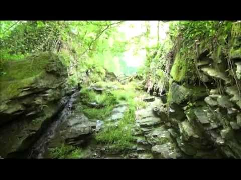 დოკუმენტური ფილმი - ,,გურგენიას ჩანჩქერი