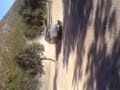 farruko barkasa drift