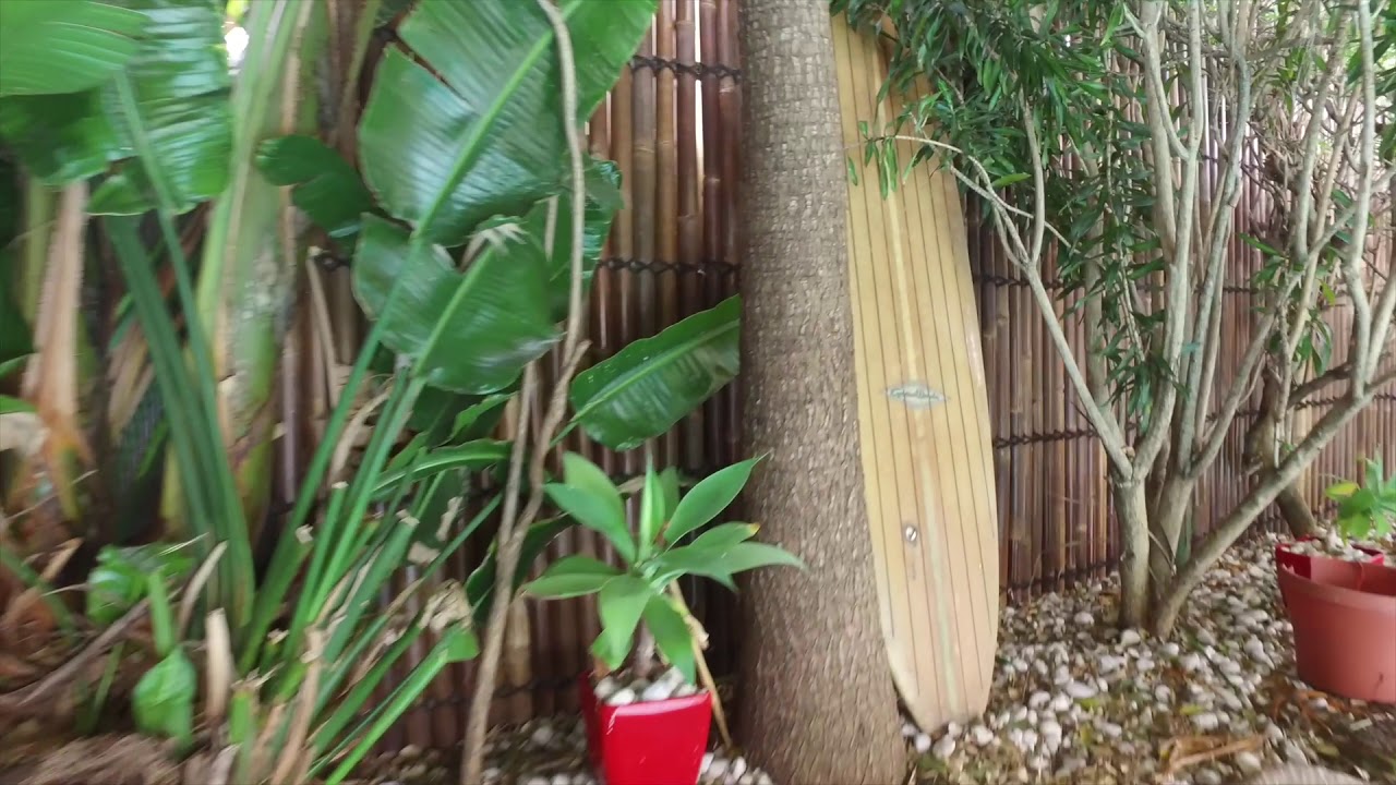 10 The Avenue, Bellambi