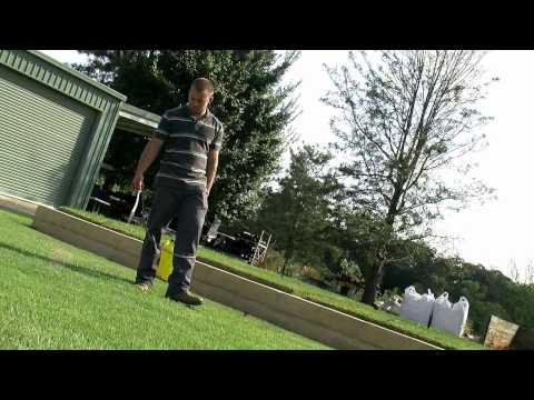 how to replant grass after grubs