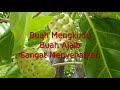 PassionMagz.com - Manfaat buah naga http://www.youtube.com/watch?v=6iu3EZNzIVw