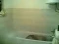 smile funny video (18) smile funny video (18)