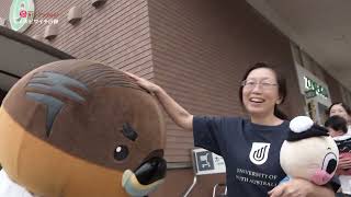 2025/7/2放送・知ったかぶりカイツブリにゅーす