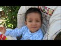 le petit poussin