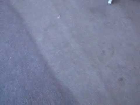Cimex Machine in action #1