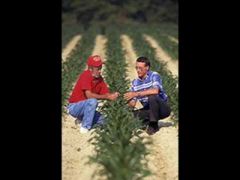 Cross-Pollinated Crop Breeding ...