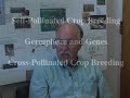 Cross-Pollinated-Cro