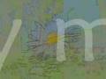 Hybernation - Mulch