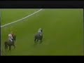 Barney McAll Racehorse