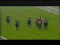 Barney McAll Racehorse