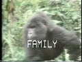 the video that started it all!  in 1989 t.h. culhane, a brand new science teacher at crenshaw high school in south central l.a., joined forces with video instructor phil kuretski and together with their students they created t.h.'s first 