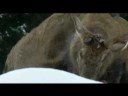 EARTH - 2