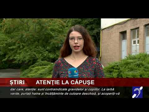 Atenție la căpușe