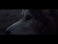 David Guetta – She Wolf  Trailer ft. Sia