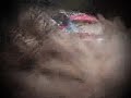 Lo mejor del Transchaco Rally 2008