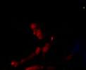 dj vicen & dj joss @ the moon (6)