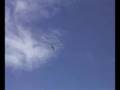 videos de Musgrove Killam Stearman