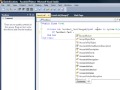 Visual Basic 2010, 2008 - Password Protection using Textbox