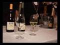 Viniplus 2008 - il Servizio di Milano Sat Sky 893
