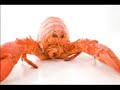Mystic Chords of Memory - Like A Lobster