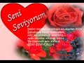 seviyorum