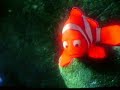 Just Keep Swimming Just Keep Swimming